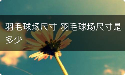 羽毛球场尺寸 羽毛球场尺寸是多少