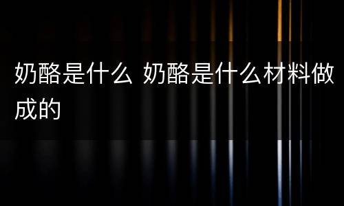 奶酪是什么 奶酪是什么材料做成的