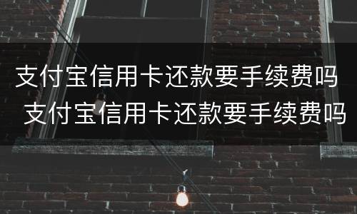 支付宝信用卡还款要手续费吗 支付宝信用卡还款要手续费吗多少钱
