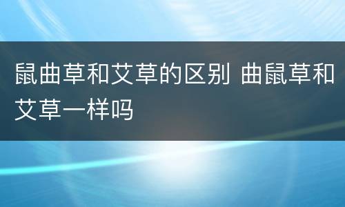 鼠曲草和艾草的区别 曲鼠草和艾草一样吗