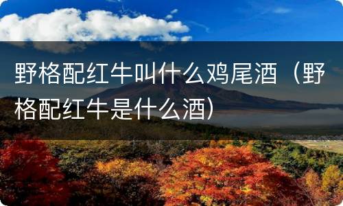 野格配红牛叫什么鸡尾酒（野格配红牛是什么酒）