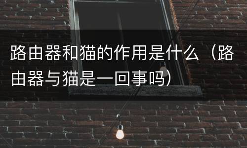 路由器和猫的作用是什么（路由器与猫是一回事吗）