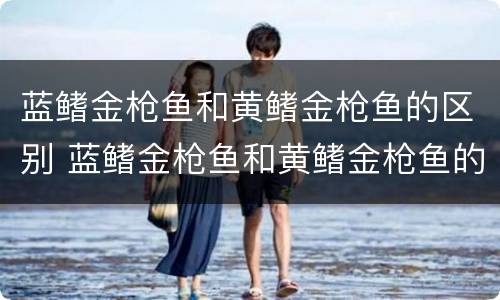 蓝鳍金枪鱼和黄鳍金枪鱼的区别 蓝鳍金枪鱼和黄鳍金枪鱼的区别两者价格