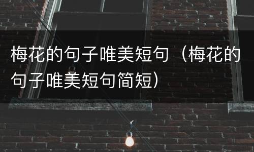 梅花的句子唯美短句（梅花的句子唯美短句简短）