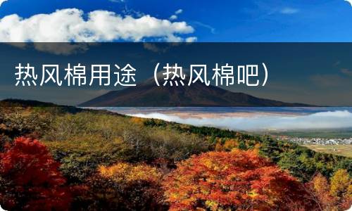 热风棉用途（热风棉吧）