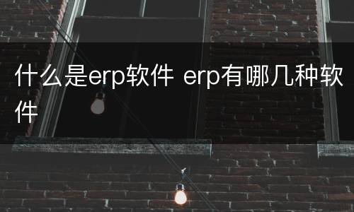 什么是erp软件 erp有哪几种软件