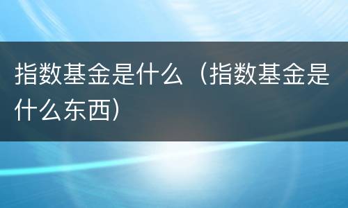 指数基金是什么（指数基金是什么东西）