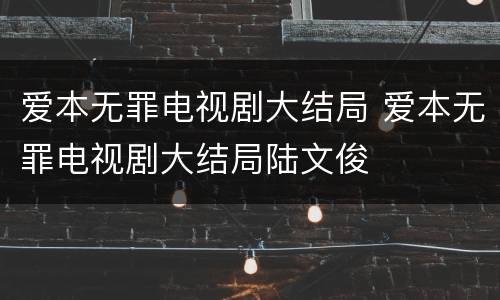 爱本无罪电视剧大结局 爱本无罪电视剧大结局陆文俊