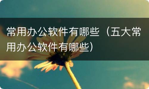 常用办公软件有哪些（五大常用办公软件有哪些）