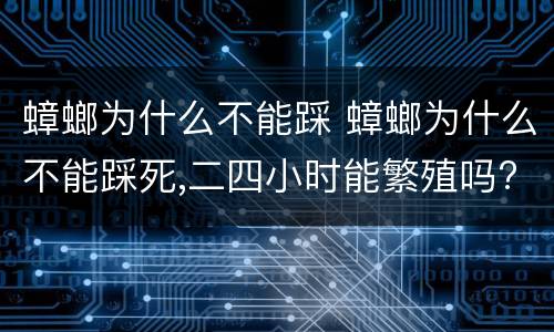 蟑螂为什么不能踩 蟑螂为什么不能踩死,二四小时能繁殖吗?