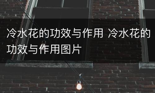 冷水花的功效与作用 冷水花的功效与作用图片