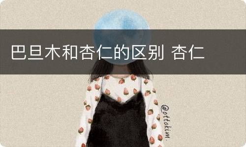 巴旦木和杏仁的区别 杏仁