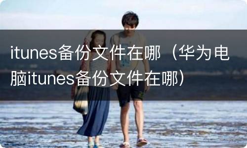 itunes备份文件在哪（华为电脑itunes备份文件在哪）