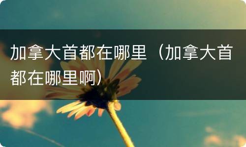 加拿大首都在哪里（加拿大首都在哪里啊）