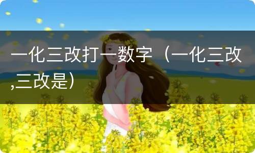 一化三改打一数字（一化三改,三改是）