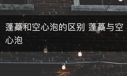 蓬蘽和空心泡的区别 蓬蘽与空心泡