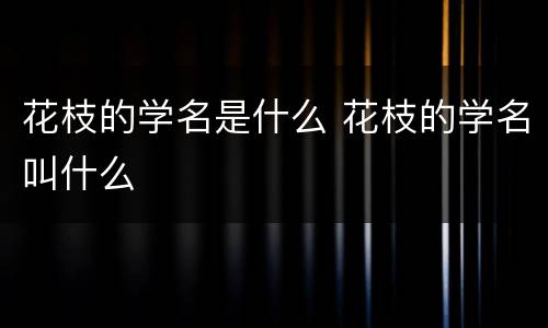 花枝的学名是什么 花枝的学名叫什么