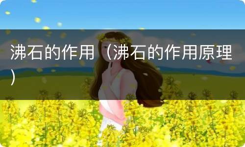沸石的作用（沸石的作用原理）