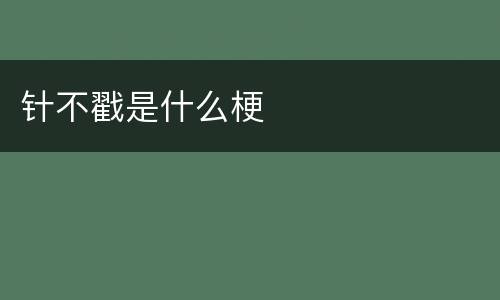 针不戳是什么梗