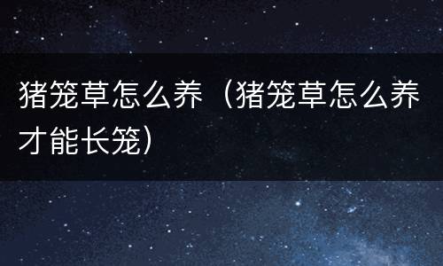 猪笼草怎么养（猪笼草怎么养才能长笼）