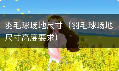 羽毛球场地尺寸（羽毛球场地尺寸高度要求）