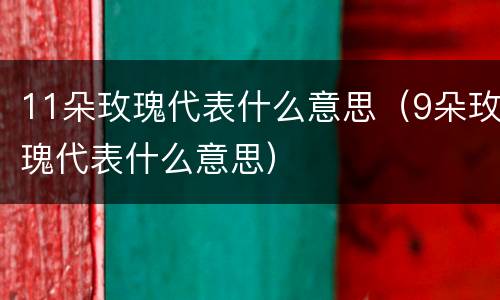 11朵玫瑰代表什么意思（9朵玫瑰代表什么意思）