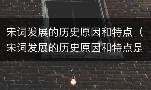 宋词发展的历史原因和特点（宋词发展的历史原因和特点是）