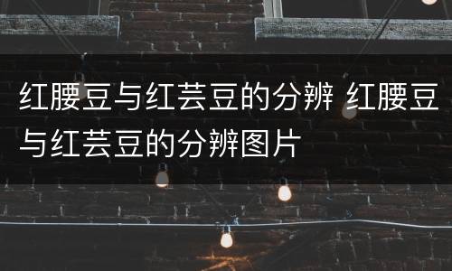 红腰豆与红芸豆的分辨 红腰豆与红芸豆的分辨图片