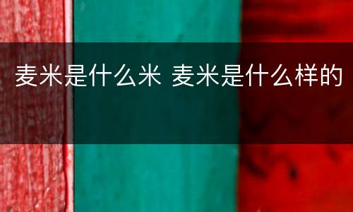 麦米是什么米 麦米是什么样的