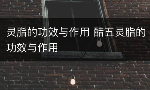 灵脂的功效与作用 醋五灵脂的功效与作用