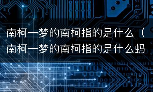 南柯一梦的南柯指的是什么（南柯一梦的南柯指的是什么蚂蚁）