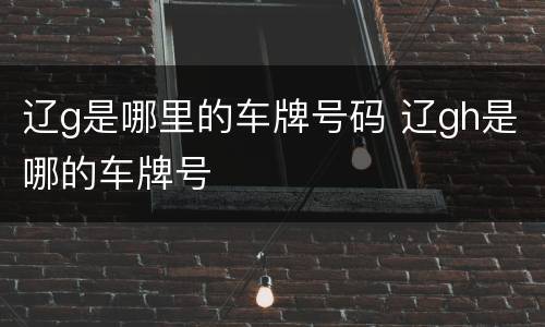 辽g是哪里的车牌号码 辽gh是哪的车牌号