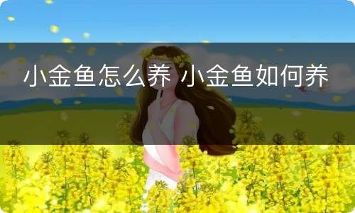  小金鱼怎么养 小金鱼如何养