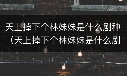 天上掉下个林妹妹是什么剧种（天上掉下个林妹妹是什么剧种?）