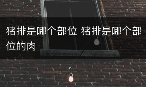 猪排是哪个部位 猪排是哪个部位的肉