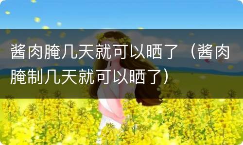 酱肉腌几天就可以晒了（酱肉腌制几天就可以晒了）