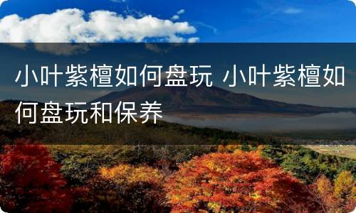 小叶紫檀如何盘玩 小叶紫檀如何盘玩和保养