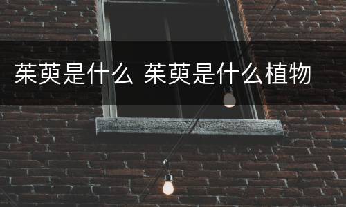 茱萸是什么 茱萸是什么植物