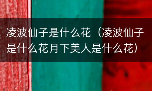 凌波仙子是什么花（凌波仙子是什么花月下美人是什么花）