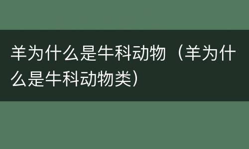 羊为什么是牛科动物（羊为什么是牛科动物类）