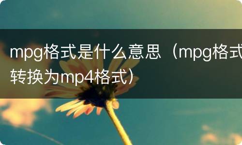 mpg格式是什么意思（mpg格式转换为mp4格式）