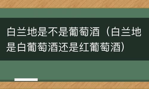 白兰地是不是葡萄酒（白兰地是白葡萄酒还是红葡萄酒）
