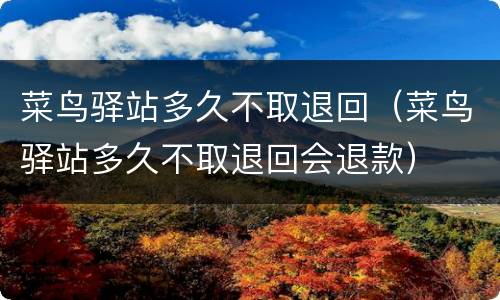 菜鸟驿站多久不取退回（菜鸟驿站多久不取退回会退款）