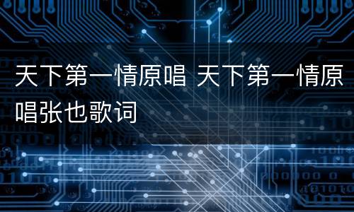 天下第一情原唱 天下第一情原唱张也歌词