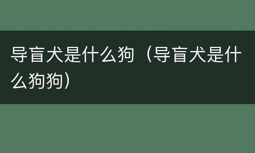 导盲犬是什么狗（导盲犬是什么狗狗）