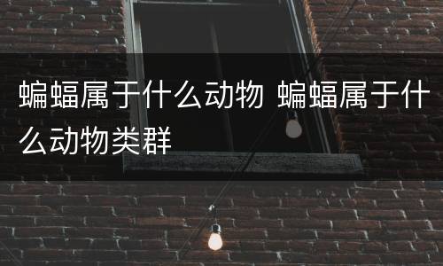 蝙蝠属于什么动物 蝙蝠属于什么动物类群