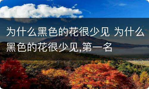 为什么黑色的花很少见 为什么黑色的花很少见,第一名
