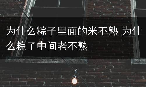 为什么粽子里面的米不熟 为什么粽子中间老不熟