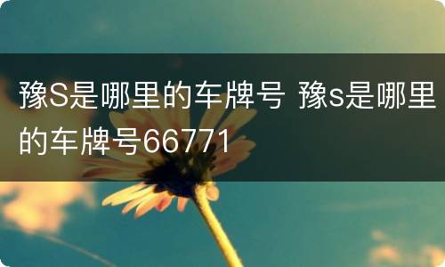 豫S是哪里的车牌号 豫s是哪里的车牌号66771