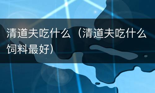 清道夫吃什么（清道夫吃什么饲料最好）